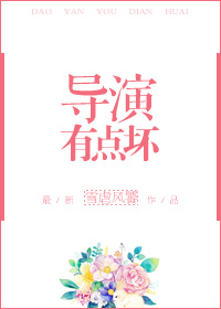 导演有点坏章节列表