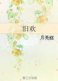 旧欢章节列表
