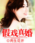假戏真婚章节列表