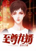 至尊龙婿章节列表