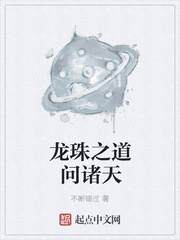 龙珠之道问诸天章节列表