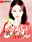 亿万首席的蜜宠宝贝章节列表