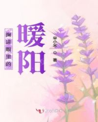 掬进眼里的暖阳章节列表