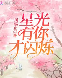 星光有你才闪烁章节列表