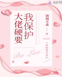 大佬硬要我保护章节列表