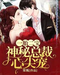 一胎二宝：神秘总裁心尖宠章节列表