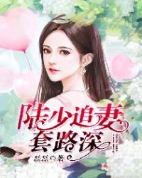 陆少追妻套路深章节列表