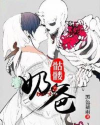 骷髅奶爸章节列表