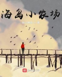 海岛小农场章节列表