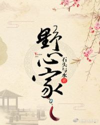 野心家章节列表
