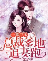 一胎三宝：总裁爹地追妻跑章节列表
