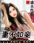 妻不如妾章节列表