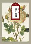 苍天有泪章节列表