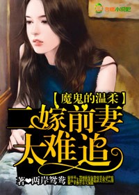 魔鬼的温柔，二嫁前妻太难追章节列表