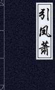 引凤萧章节列表