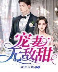 宠妻无敌甜章节列表