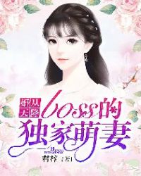婚从天降，boss的独家萌妻章节列表