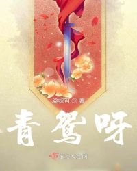 青鸳呀章节列表