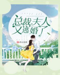 总裁夫人又逃婚了章节列表