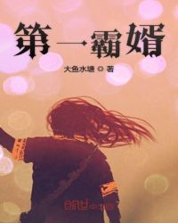 第一霸婿章节列表