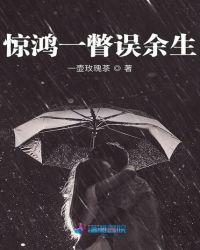 惊鸿一瞥误余生章节列表