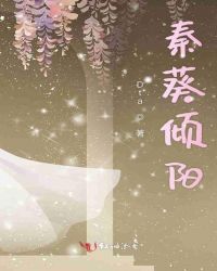 秦葵倾阳章节列表