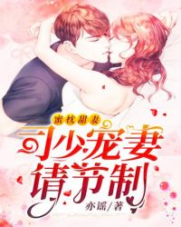司少宠妻请节制章节列表