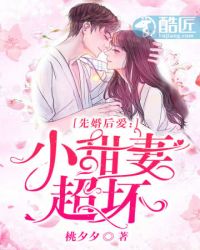 小甜妻超坏章节列表