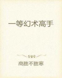 一等幻术高手章节列表
