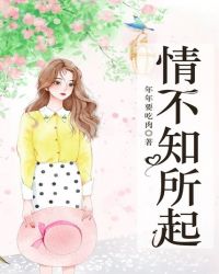 情不知所起章节列表