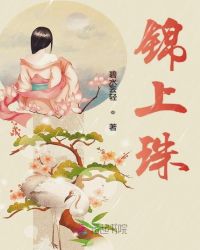 锦上珠章节列表