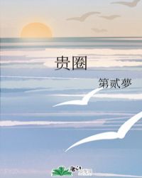 贵圈章节列表