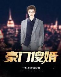 豪门傻婿章节列表