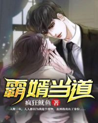 霸婿当道章节列表