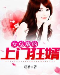 女总裁的上门狂婿章节列表