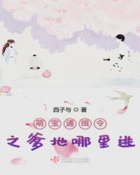 萌宝通缉令之爹地哪里逃章节列表