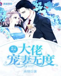 豪门暖婚之大佬宠妻无度章节列表