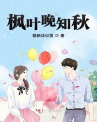 枫叶晚知秋章节列表