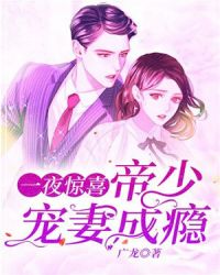 一夜惊喜，帝少宠妻成瘾章节列表
