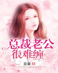 总裁老公很难缠章节列表