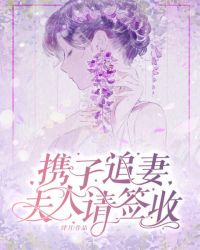 携子追妻：夫人请签收章节列表