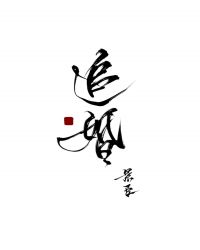 追婚章节列表