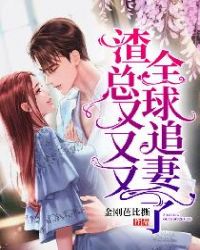 渣总又又又全球追妻了章节列表