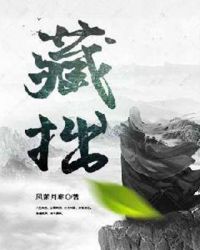 藏拙章节列表