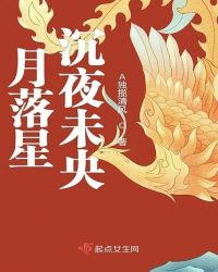 月落星沉夜未央章节列表