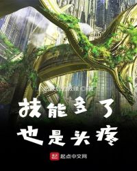 技能多了也是头疼章节列表