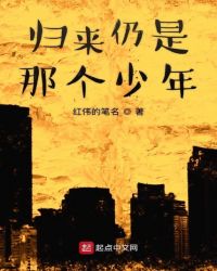 归来仍是那个少年章节列表