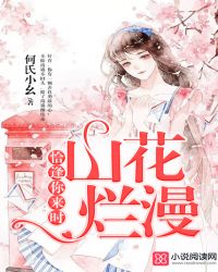 恰逢你来时，山花烂漫章节列表