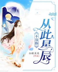 从此星辰不及你章节列表