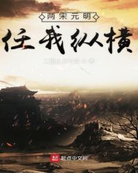 两宋元明任我纵横章节列表